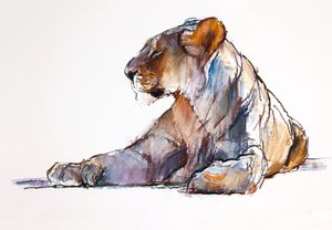 Sabah, 2019 by Mark Adlington