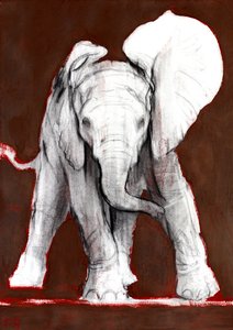 Tek Kulak Yukarı, 2018 by Mark Adlington
