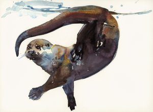 Otter Çalışması II -