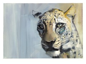 Predator (Arap Leoparı), 2009 (kağıt üzerinde yağlı boya) by Mark Adlington