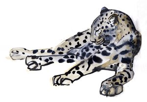 Yaslanmış (Arap Leoparı), 2008 by Mark Adlington