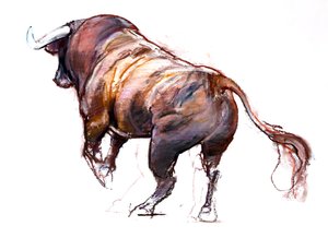 Rubio, 2022 by Mark Adlington
