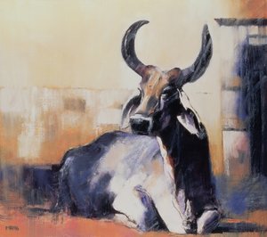 Kutsal İnek, Bhuj, 1996 (kağıt üzerine yağlı boya) by Mark Adlington