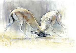Kum Gazelleri, 2009 (kağıt üzerinde konte ve kömür) by Mark Adlington