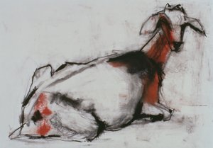 Oturan Keçi, 1998 (kağıt üzerinde conte ve kömür) by Mark Adlington