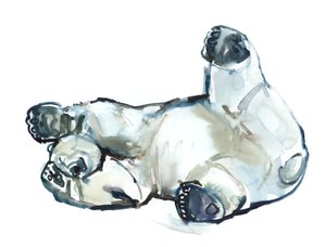Kar Ovası (Kutup Ayısı), 2013 (kağıt üzerine suluboya ve guaj boya) by Mark Adlington