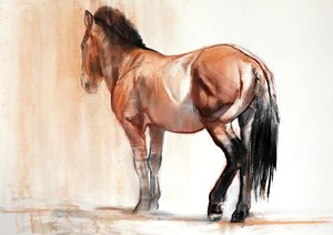 Stand (Przewalski), 2013, (kağıt üzerine pastel ve karakalem)