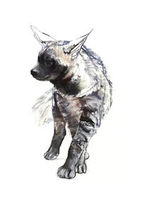 Çizgili Sırtlan Yavrusu, 2010, (kağıt üzerinde conté ve pastel) by Mark Adlington