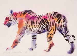 Stripey (kağıt üzerine mürekkep ve wc)