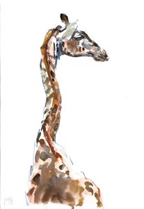 Uzun, 2018 by Mark Adlington