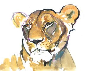 dişi aslan by Mark Adlington