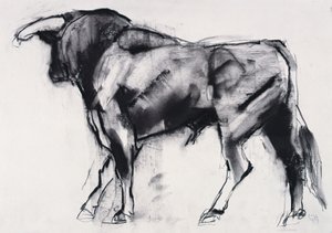 Toro Azul, çalışma (kağıt üzerinde kömür) by Mark Adlington