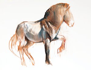 Torna (Przewalski), 2013, (kağıt üzerinde pastel ve karakalem)