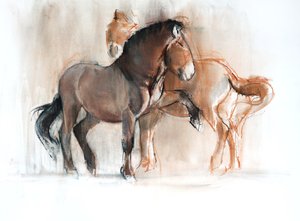 İki (Przewalski), 2013, (kağıt üzerinde pastel ve karakalem)