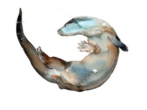 Bilinmeyen başlık by Mark Adlington