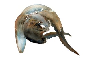 Bilinmeyen başlık by Mark Adlington