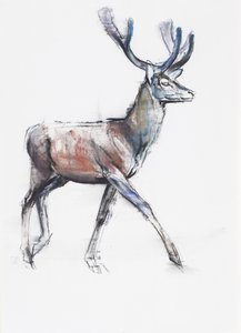 Kadife, 2006 (kağıt üzerinde kömür ve conte) by Mark Adlington
