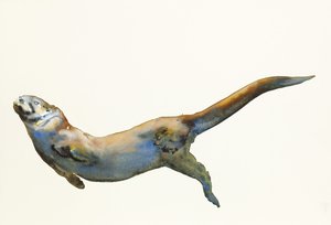 Kadife, 2014, (kağıt üzerine sulu boya) by Mark Adlington