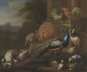 Klasik Bir Harabe Tarafından Tavus Kuşları, Güvercinler, Hindiler, Tavuklar ve Ördekler by Marmaduke Cradock