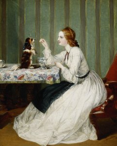 Neyse ki Alınan Bağışlar, 1862