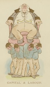 Cynicus