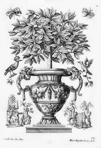 Narenciye ağaçları, c.1735 by Martin Engelbrecht