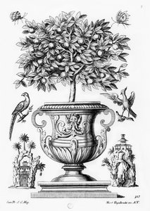 Narenciye ağaçları, c.1735 by Martin Engelbrecht
