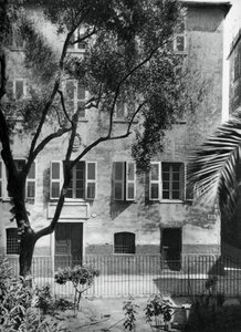 Napolyon