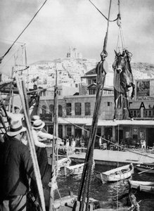 Katır nakliyesi, Syros Adası, Yunanistan, 1937. by Martin Hurlimann