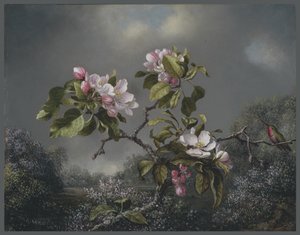 Elma Çiçekleri ve Sinek Kuşu, 1871 by Martin Johnson Heade