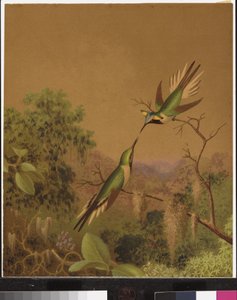 Brezilya sinek kuşları IV by Martin Johnson Heade