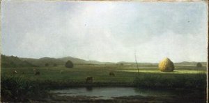 Bataklık Sahnesi: Saman Eyerinin Yanındaki Sığır (tuval üzerine yağlı boya) by Martin Johnson Heade