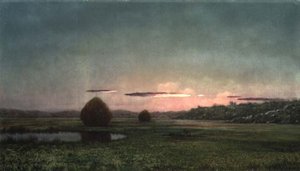Bataklıklar (tuval üzerine yağlı boya) by Martin Johnson Heade