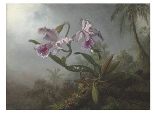 Bir dal üzerinde pembe orkideler ve sinek kuşu, 1875 by Martin Johnson Heade