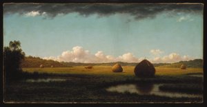 Yaz Yağmurları by Martin Johnson Heade