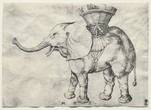 Howdah ile bir Fil by Martin Schongauer