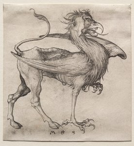 Griffin by Martin Schongauer