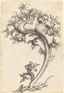 Devedikeni Süsleme by Martin Schongauer