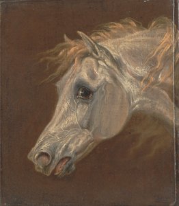 Gri Arap Atı Başkanı by Martin Theodore Ward