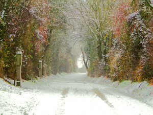 toprak yol by Martina Konitzky