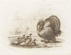 Hey tarafından "Çocuklar için Yarım Yüz Masal" için İllüstrasyon by Martinus Rørbye