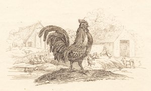 Hey tarafından "Çocuklar için Yarım Yüz Masal" için İllüstrasyon by Martinus Rørbye