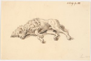 kaniş köpek yalan by Martinus Rørbye