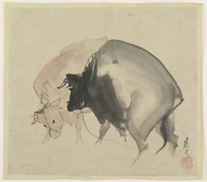 Two Bulls, c.1810 (kağıt üzerinde mürekkep ve renkler) by Maruyama Oju
