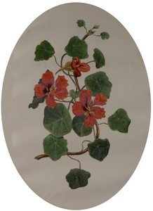Nasturtiums, c.1870 (kağıt üzerinde yağlı boya) by Mary Dakeyne Townroe