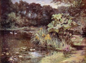 İskoç Bahçeleri: Culzean (renkli taş)