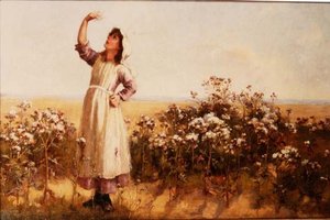 devedikeni by Mary Louise Breakell