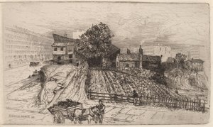 Bir Şehir Çiftliği—New York by Mary Nimmo Moran