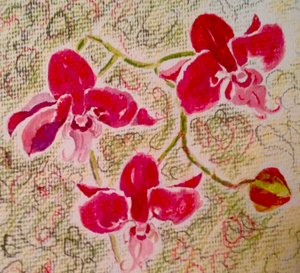 orkide by Mary Smith