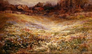 Alplerde Bir Çayır (kağıt üzerine sulu boya) by Mary Stevens